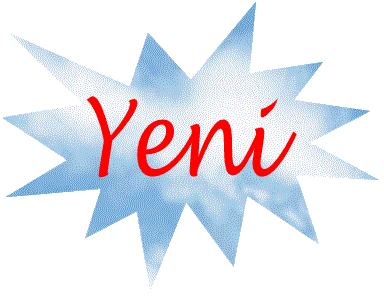 Genel Kurul